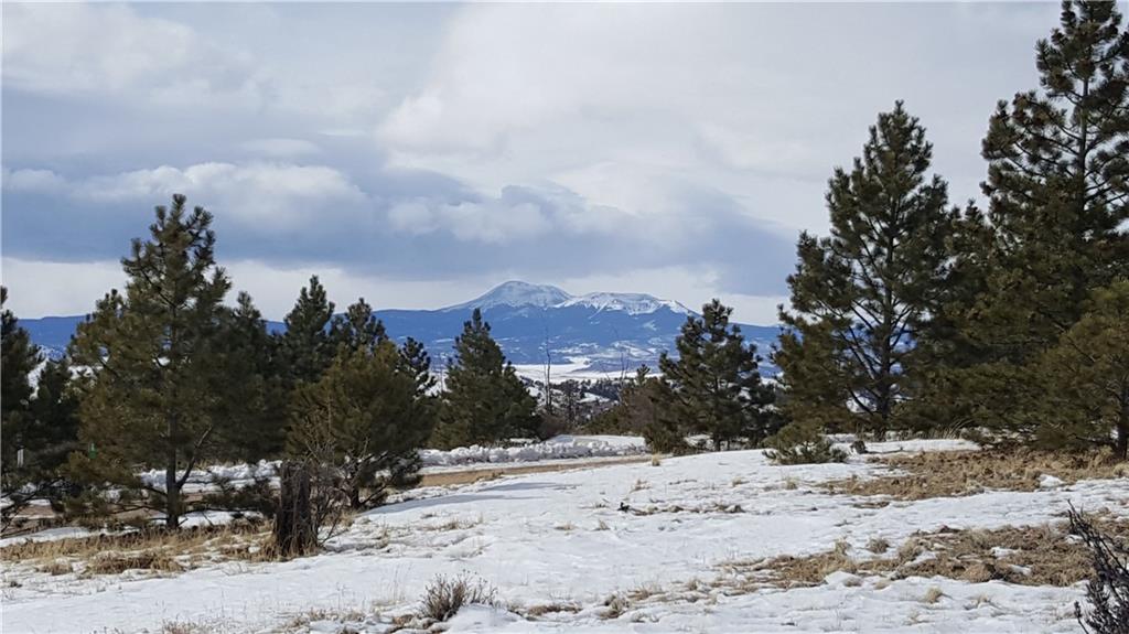 Lot 5878 Running Bear Road Hartsel, CO 80449 - Photo 10 of 25 Gallery Image 10