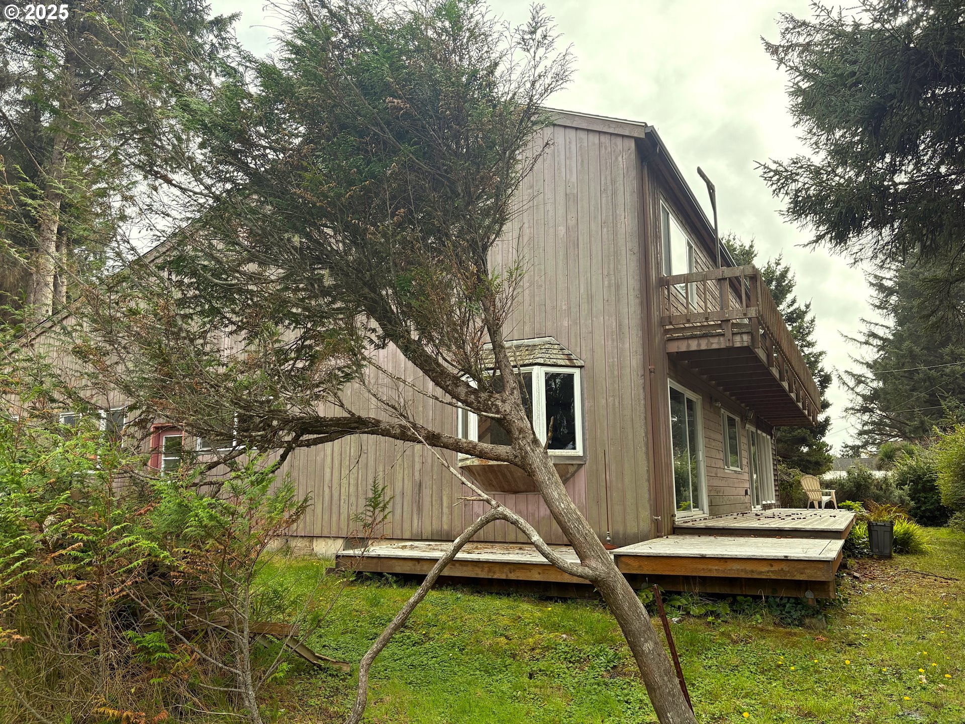 327 Lemwick Lane Yachats, OR 97498 - Photo 4 of 41 a view of backyard with a small cabin