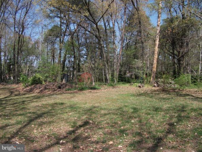 6412 Greenleaf Street Springfield, VA 22150 - Photo 2 of 2 Back yard