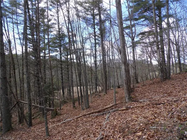 $14,900 | Tbd Happy Woods Road, Grassy Creek, NC 28631