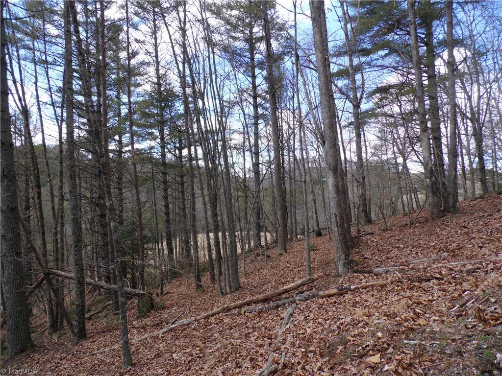 Tbd Happy Woods Road Grassy Creek, NC 28631 - Photo 11 of 21