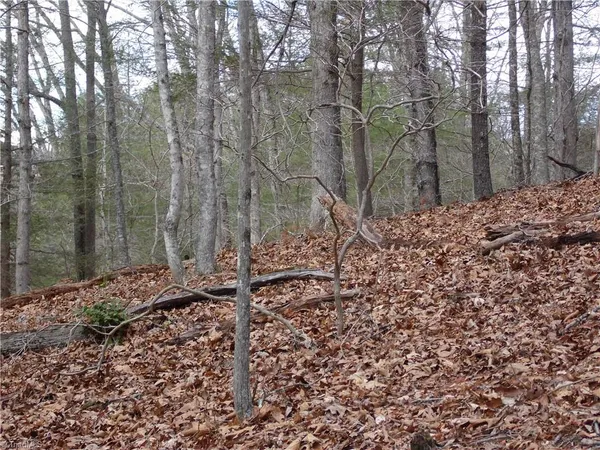 $14,900 | Tbd Happy Woods Road, Grassy Creek, NC 28631