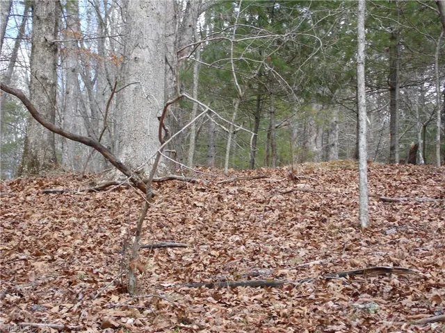 $14,900 | Tbd Happy Woods Road, Grassy Creek, NC 28631