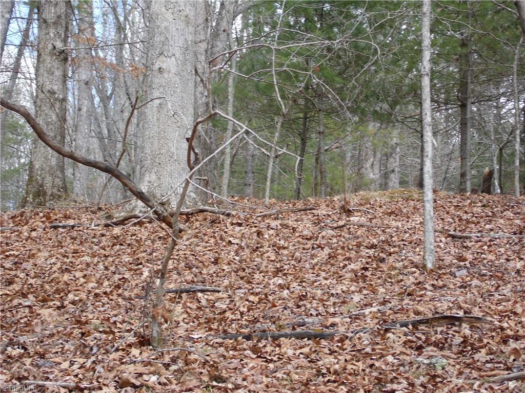 Tbd Happy Woods Road Grassy Creek, NC 28631 - Photo 13 of 21