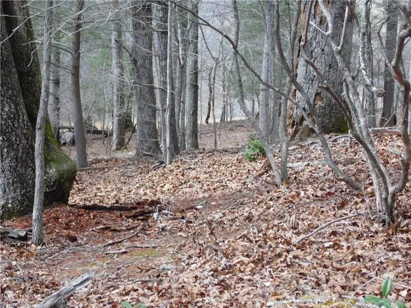 $14,900 | Tbd Happy Woods Road, Grassy Creek, NC 28631