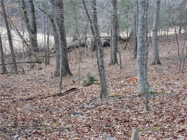 $14,900 | Tbd Happy Woods Road, Grassy Creek, NC 28631
