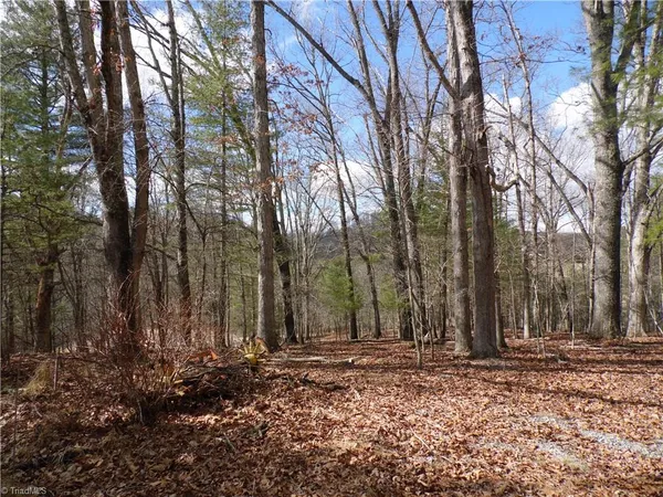 $14,900 | Tbd Happy Woods Road, Grassy Creek, NC 28631