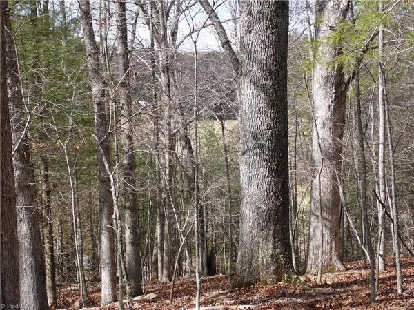 $14,900 | Tbd Happy Woods Road, Grassy Creek, NC 28631
