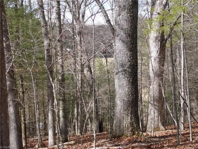 $14,900 | Tbd Happy Woods Road, Grassy Creek, NC 28631