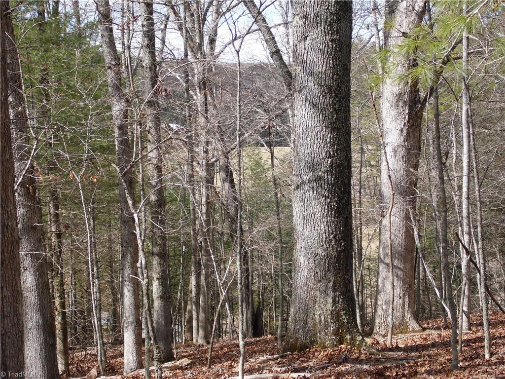 Tbd Happy Woods Road Grassy Creek, NC 28631 - Photo 3 of 21