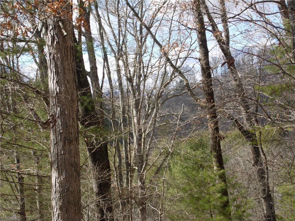 Tbd Happy Woods Road Grassy Creek, NC 28631 - Photo 4 of 21