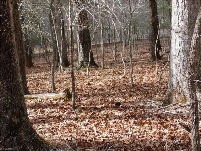 $14,900 | Tbd Happy Woods Road, Grassy Creek, NC 28631