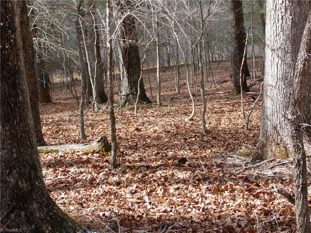 Tbd Happy Woods Road Grassy Creek, NC 28631 - Photo 5 of 21