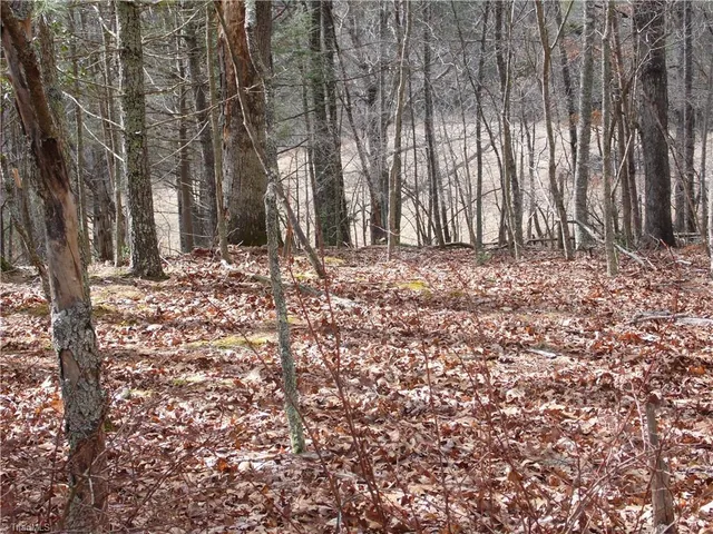 $14,900 | Tbd Happy Woods Road, Grassy Creek, NC 28631