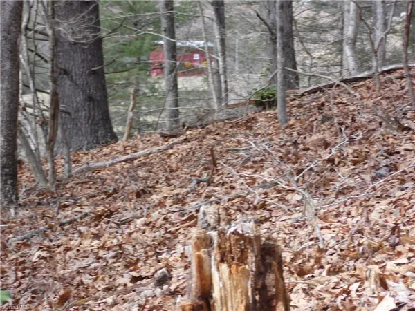 $14,900 | Tbd Happy Woods Road, Grassy Creek, NC 28631