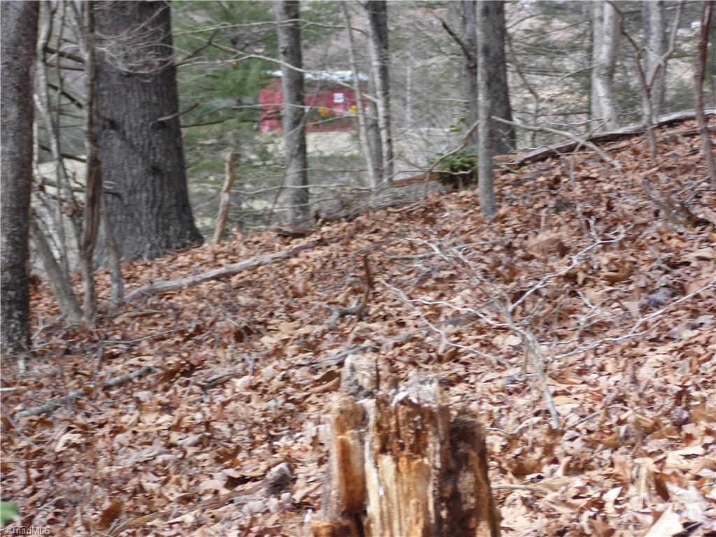 Tbd Happy Woods Road Grassy Creek, NC 28631 - Photo 7 of 21