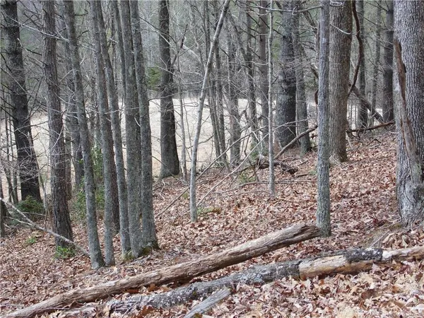 $14,900 | Tbd Happy Woods Road, Grassy Creek, NC 28631