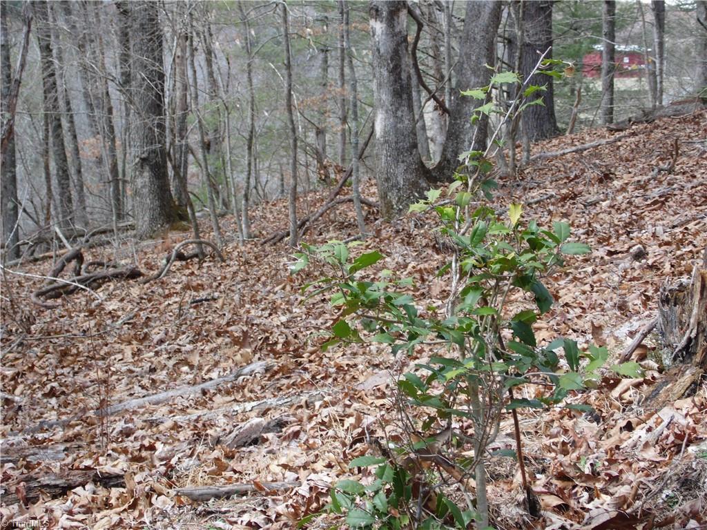 Tbd Happy Woods Road Grassy Creek, NC 28631 - Photo 9 of 21