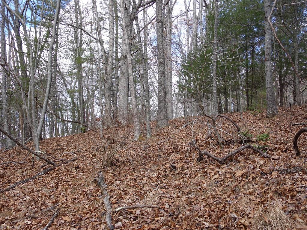 Tbd Happy Woods Road Grassy Creek, NC 28631 - Photo 10 of 21