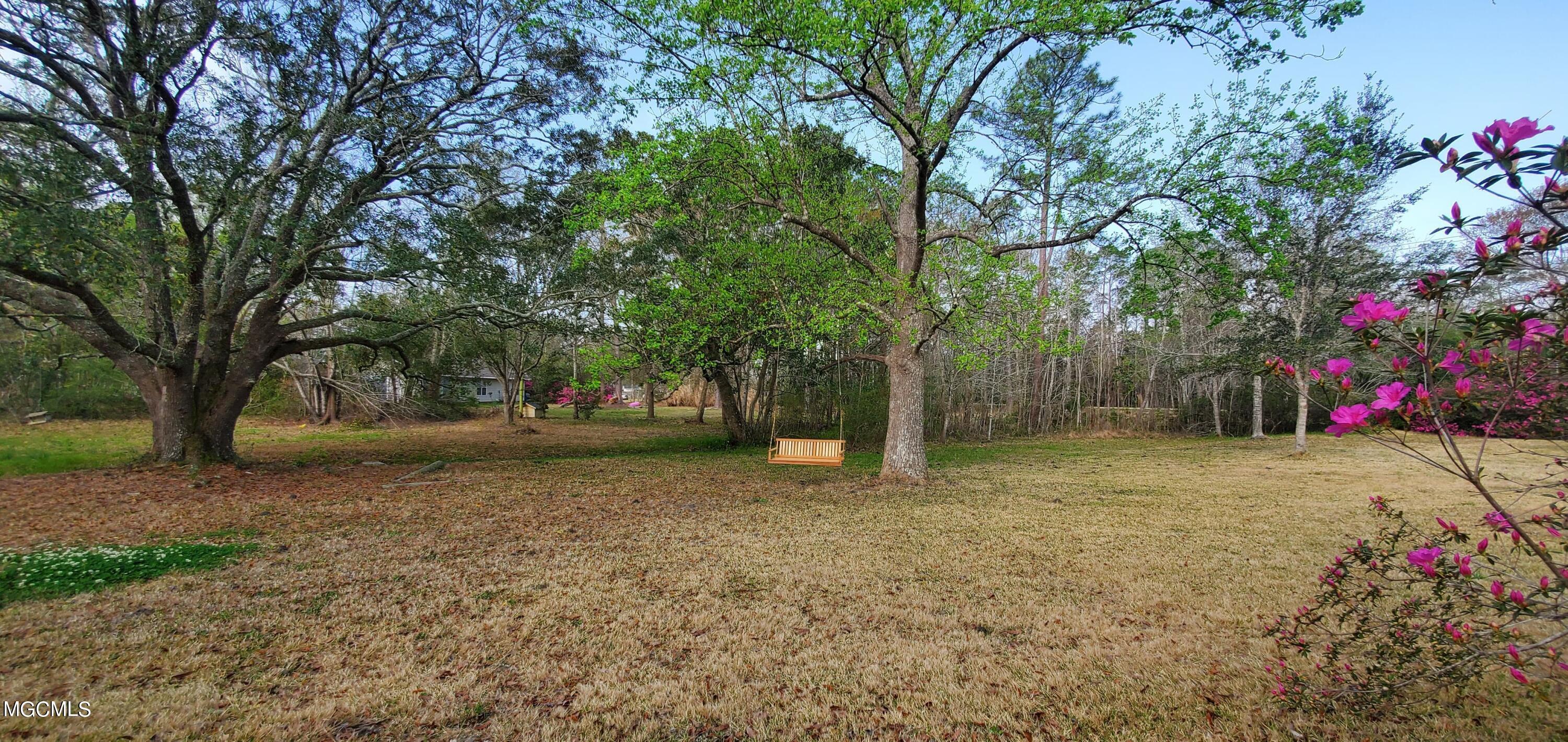 8917 Ocean Springs Road Ocean Springs, MS 39564 - Photo 14 of 14 Backyard view