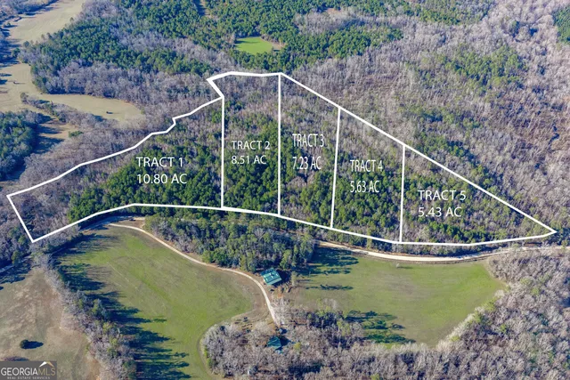 $129,000 | Tract 3 Dunbar School Road, Williamson, GA 30292