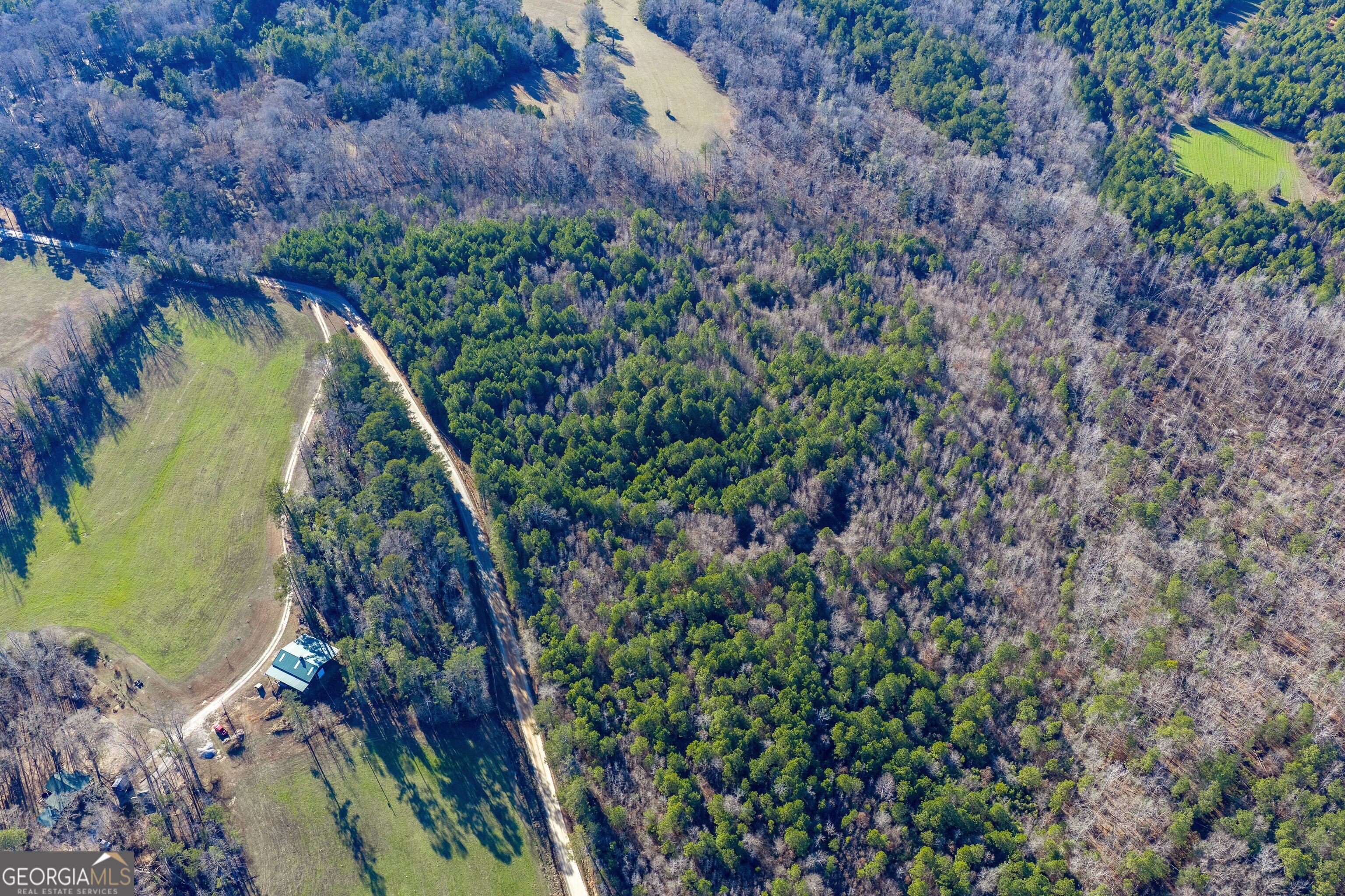 Tract 3 Dunbar School Road Williamson, GA 30292 - Photo 11 of 17