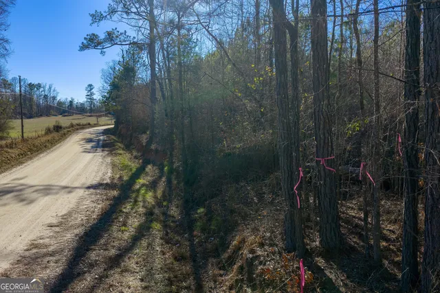 $129,000 | Tract 3 Dunbar School Road, Williamson, GA 30292