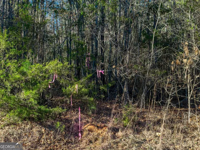 $129,000 | Tract 3 Dunbar School Road, Williamson, GA 30292