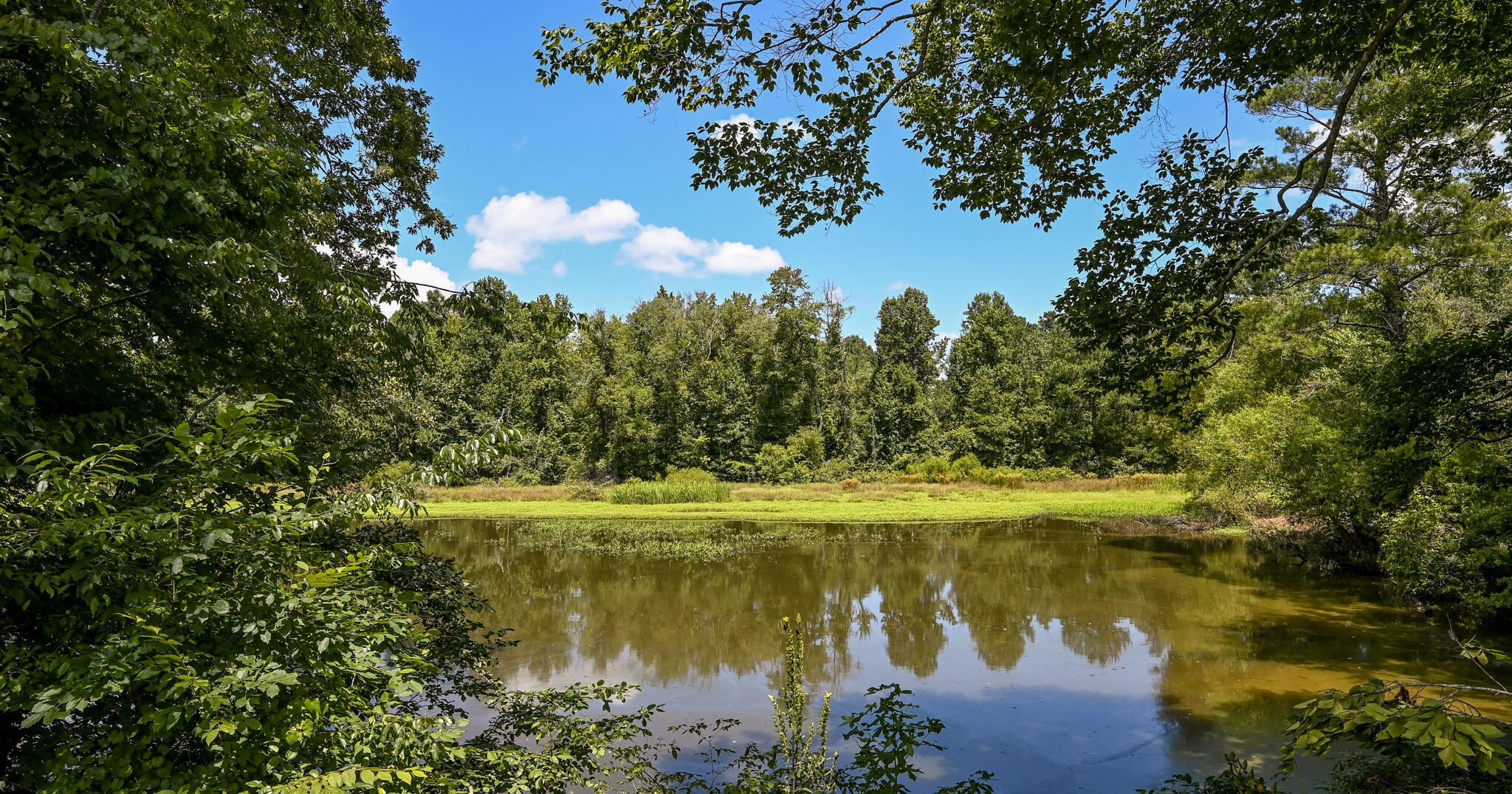 236 Sam Johnson Road Georgetown, TN 37336 - Photo 4 of 58 Gallery Image 4