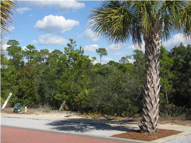 W-2 W-2 Lifeguard Loop Inlet Beach Inlet Beach, FL 32461 - Photo 1 of 4 a picture of a yard