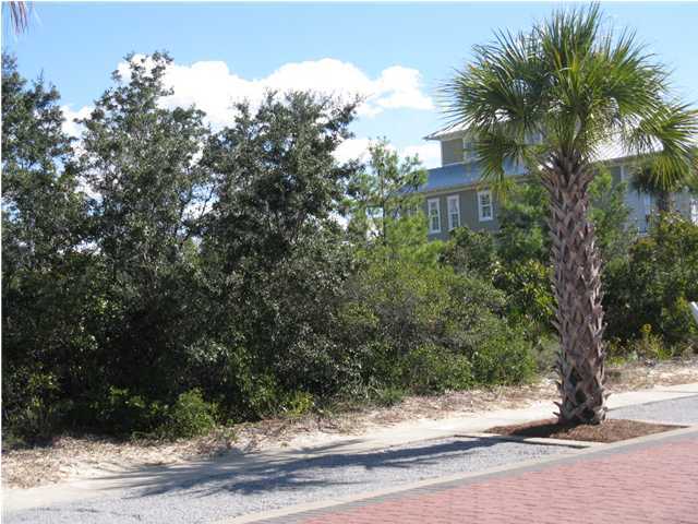 W-2 W-2 Lifeguard Loop Inlet Beach Inlet Beach, FL 32461 - Photo 2 of 4 a view of a tree in front of a house