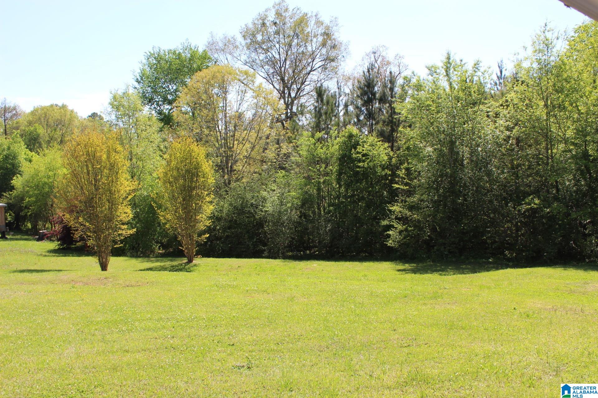 266 Mountain View Road Talladega, AL 35160 - Photo 9 of 23