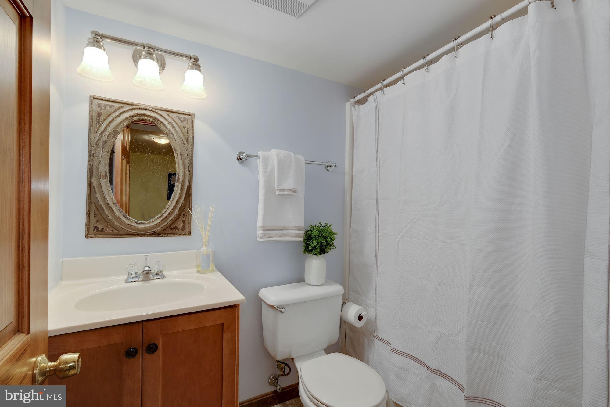 6509 Deidre Terrace McLean, VA 22101 - Photo 35 of 47 Lower Level Full Bath