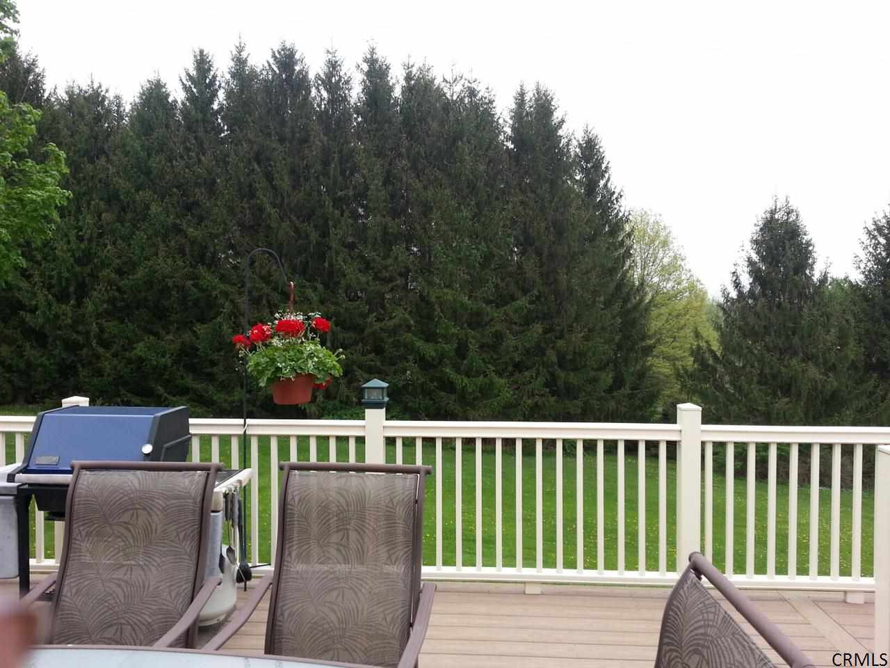 527 Randall Road Ballston, NY 12020 - Photo 3 of 17 Photo 3