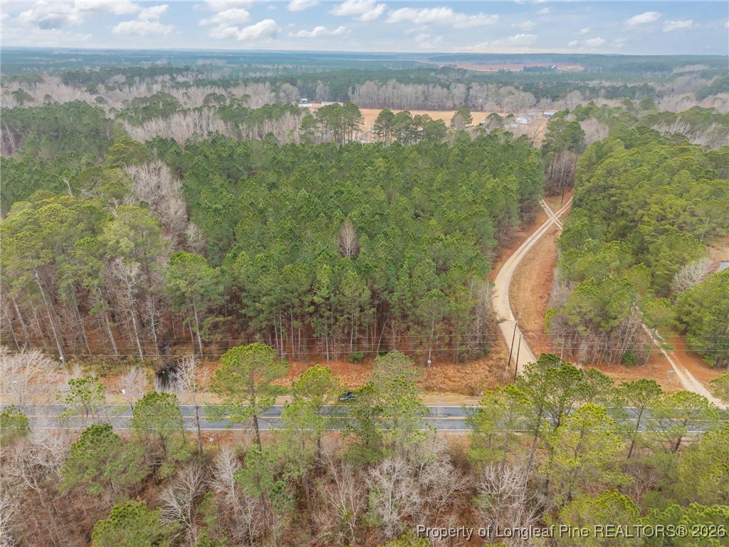 Tbd East Reeves Bridge Road Linden, NC 28356 - Photo 3 of 15 Gallery Image 3