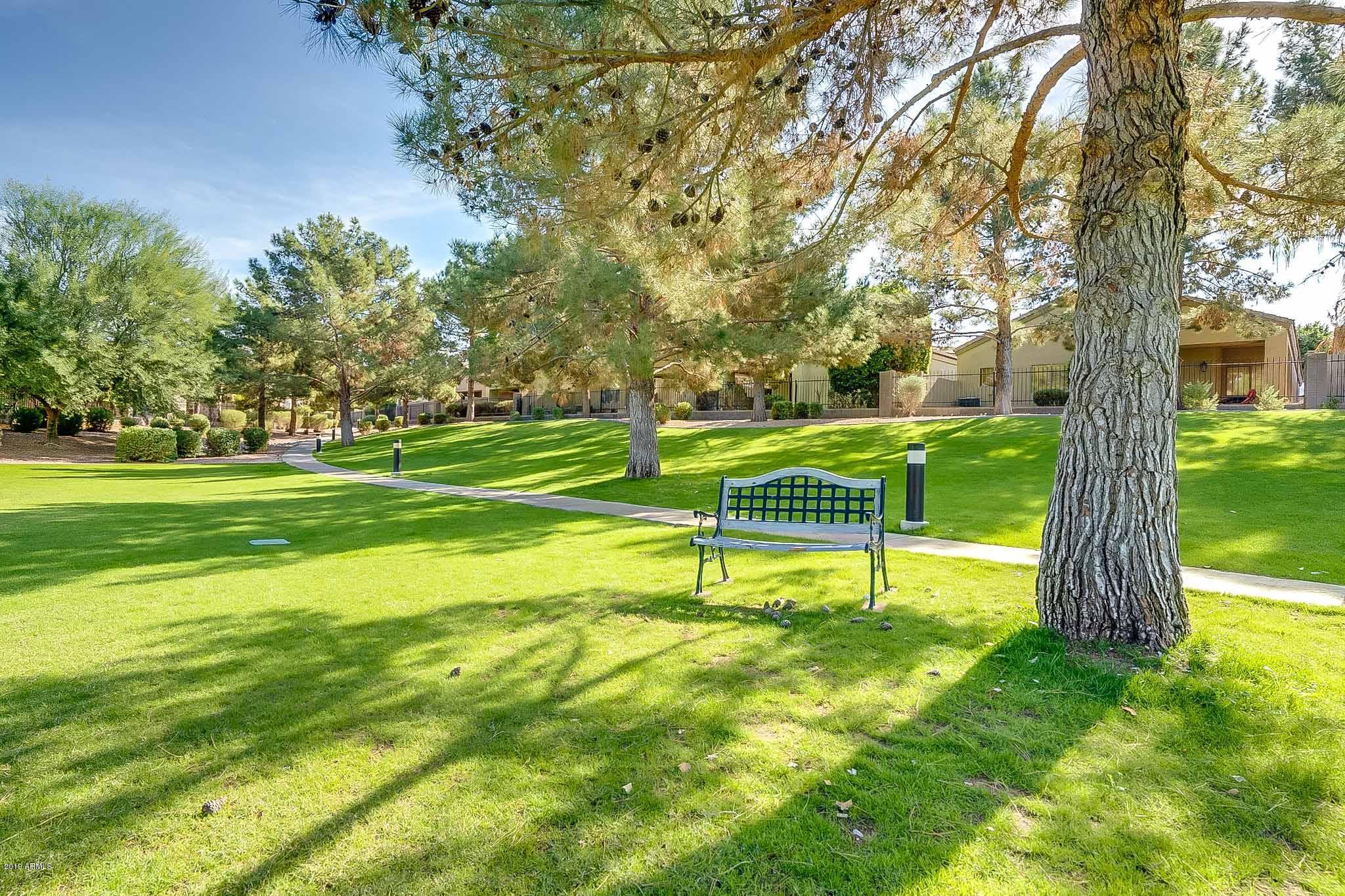 3211 East Fremont Road Phoenix, AZ 85042 - Photo 34 of 38 Grassy Area in Community