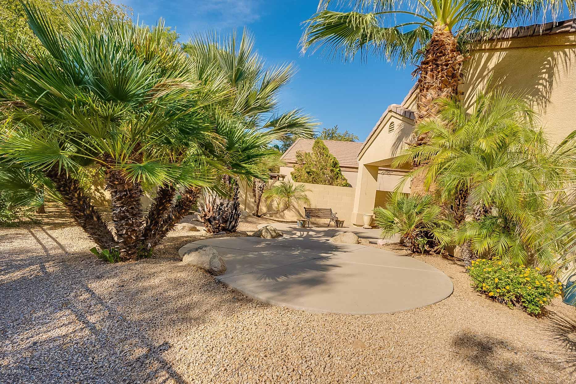 3211 East Fremont Road Phoenix, AZ 85042 - Photo 9 of 38 Backyard views