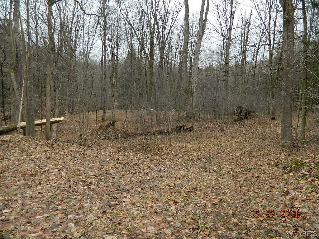 9999 Olean Road Holland, NY 14080 - Photo 17 of 28