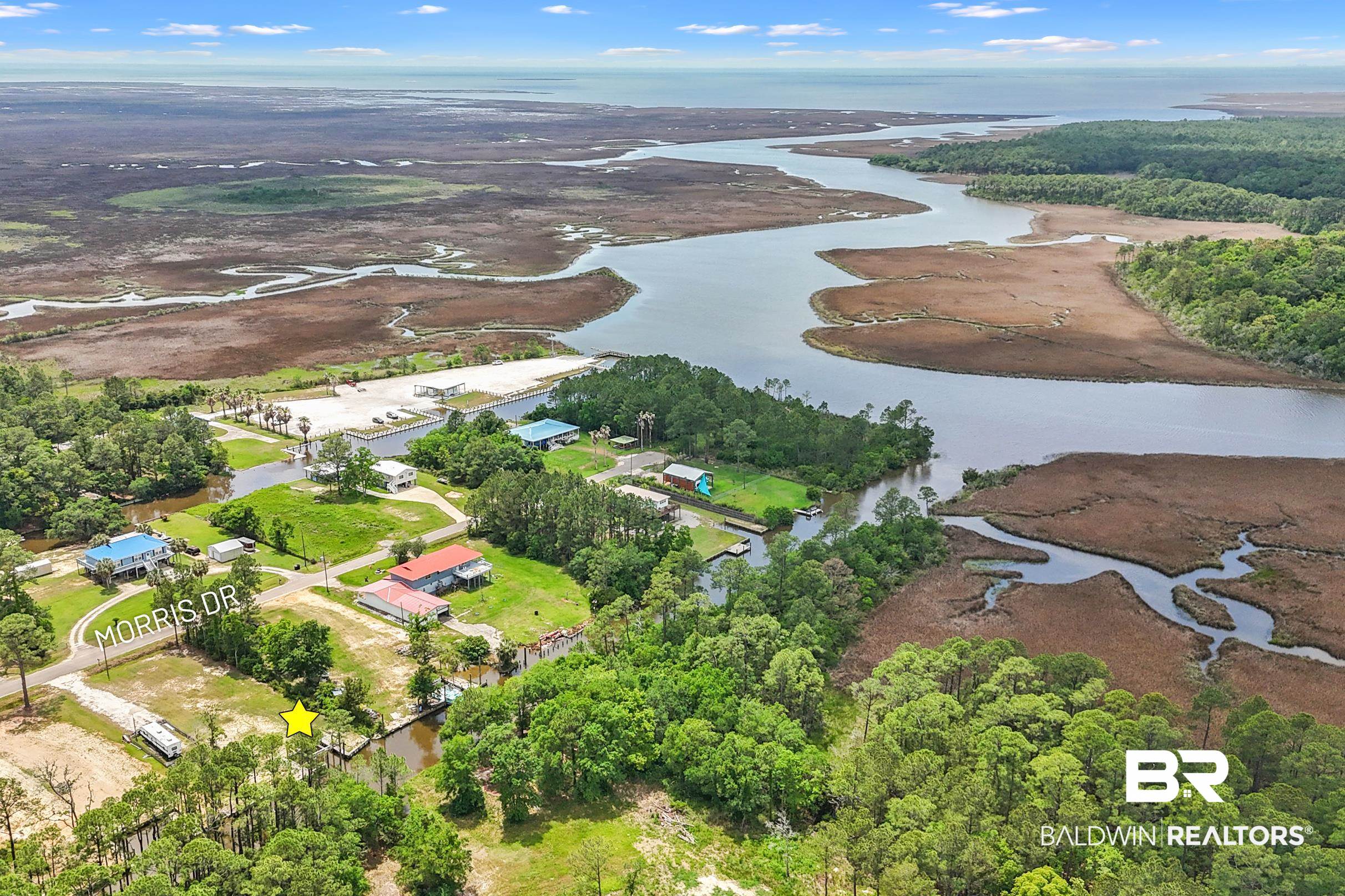 Lot 75 Morris Drive Coden, AL 36523 - Photo 1 of 29 Bird's eye view with a water view and a forest view