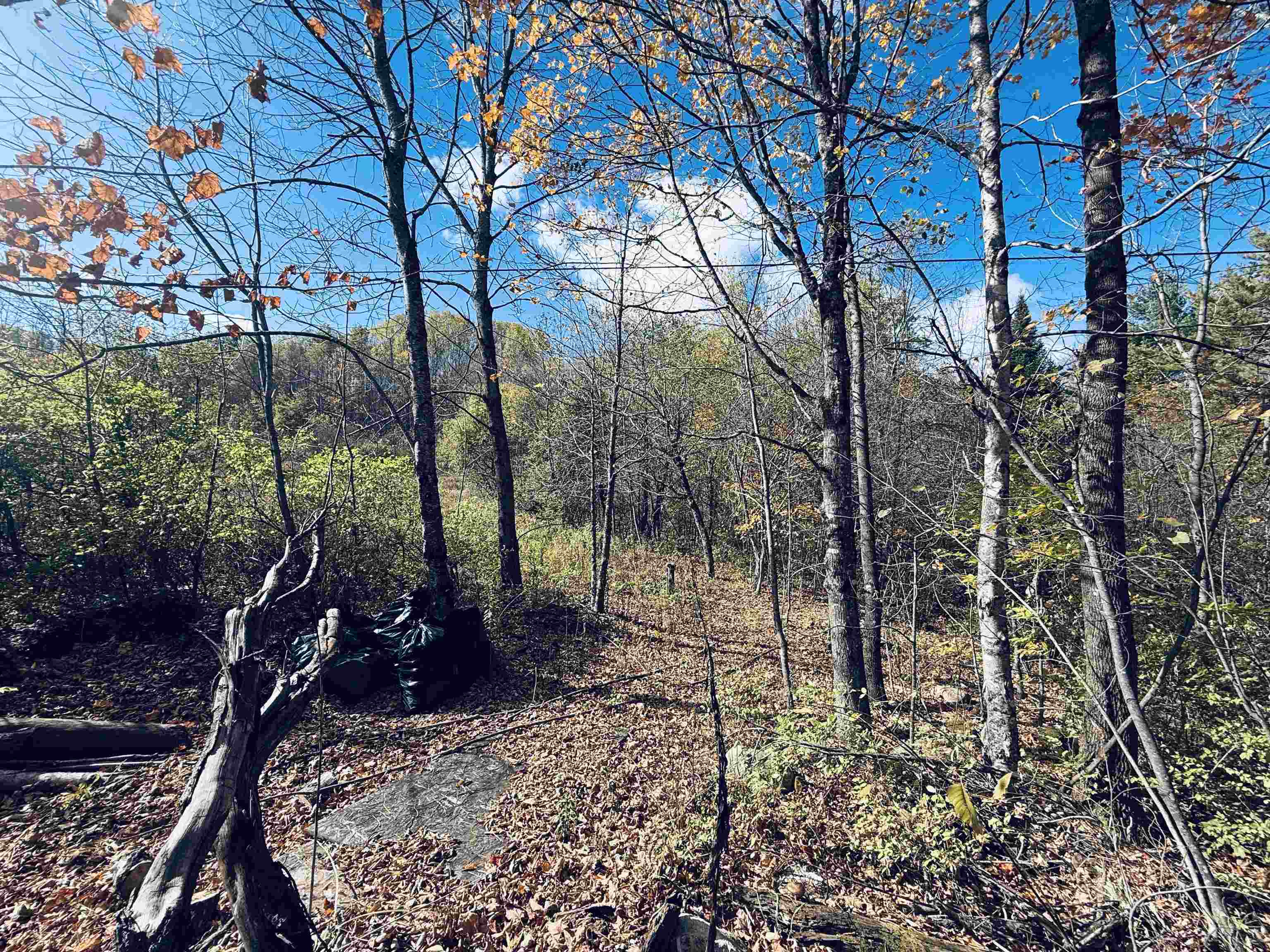 45 Emerson Road Topsham, VT 05076 - Photo 9 of 60