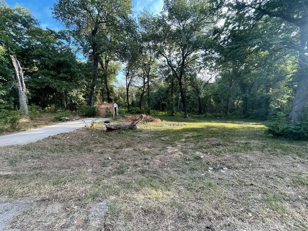a ground with lots of trees