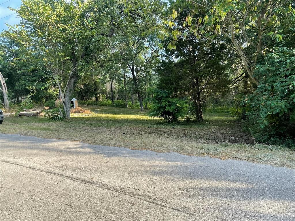Tbd Kingsway Tool, TX 75143 - Photo 2 of 4 a view of a yard with a trees