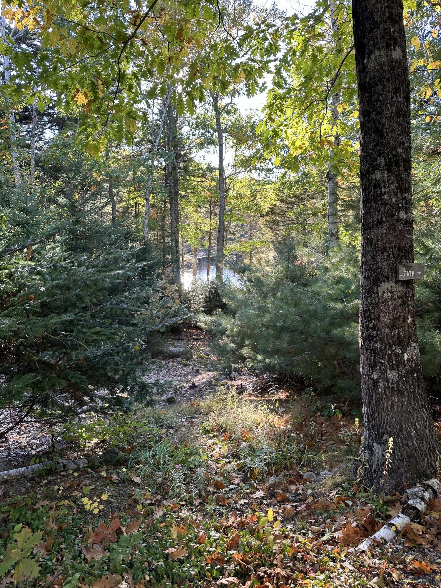 602 Spragues Falls Road Cherryfield, ME 04622 - Photo 14 of 52 IMG_2962