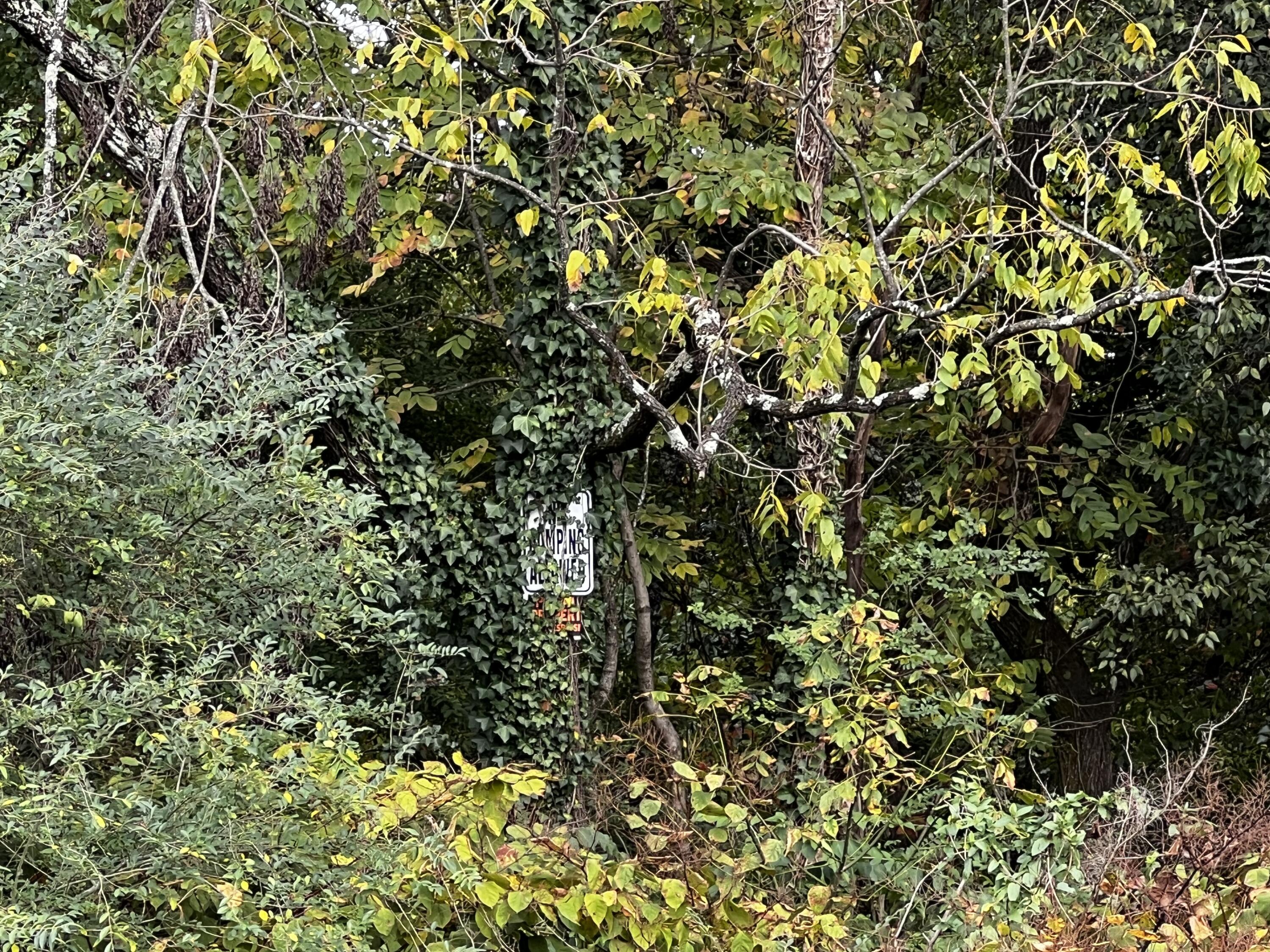 4810 Delashmitt Road Hixson, TN 37343 - Photo 3 of 6 IMG_7744