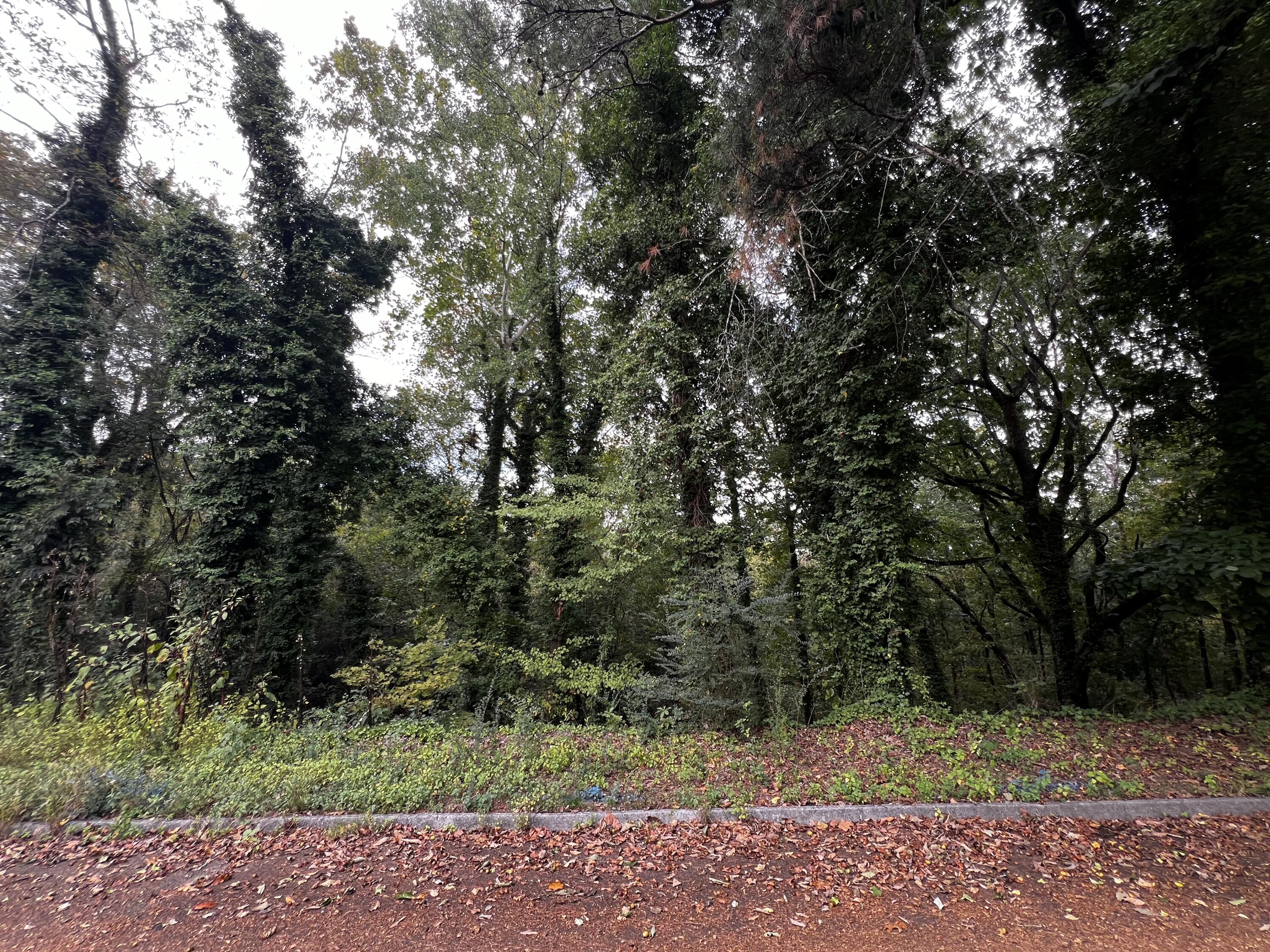 4810 Delashmitt Road Hixson, TN 37343 - Photo 6 of 6 IMG_7754