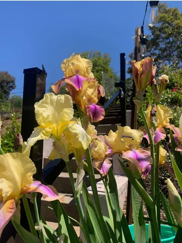 $555,000 | 2367 Ponderosa Road, Rescue, CA 95672