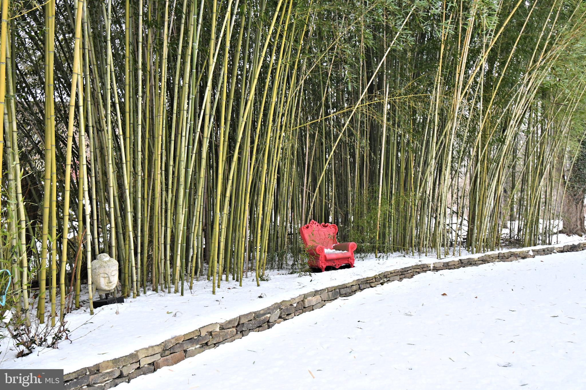 6163 Carversville Road Doylestown, PA 18902 - Photo 17 of 64