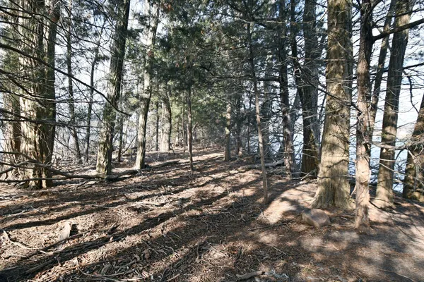 $1,699,999 | 10200 Point Pleasant Road, Chisago City, MN 55013