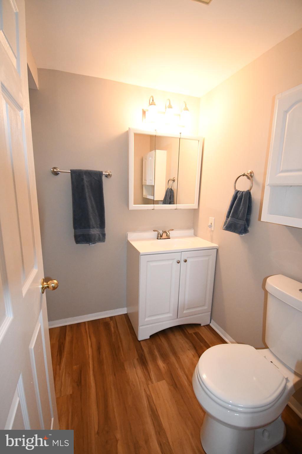 3707 Red Grove Road Baltimore, MD 21220 - Photo 18 of 32 a bathroom with a sink toilet and mirror