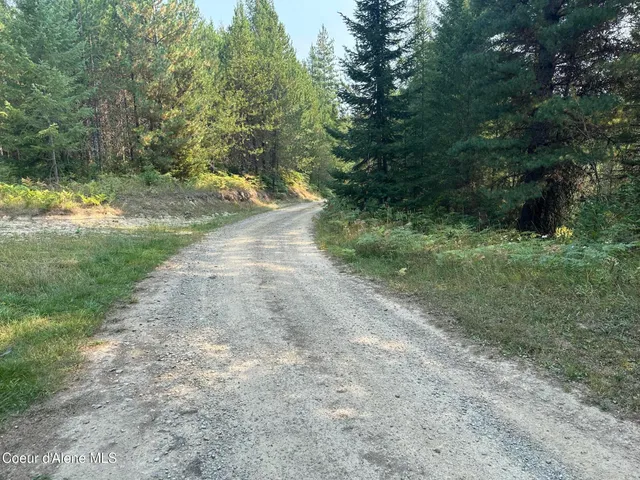 $249,000 | Nna Peninsula Loop Road, Priest River, ID 83856